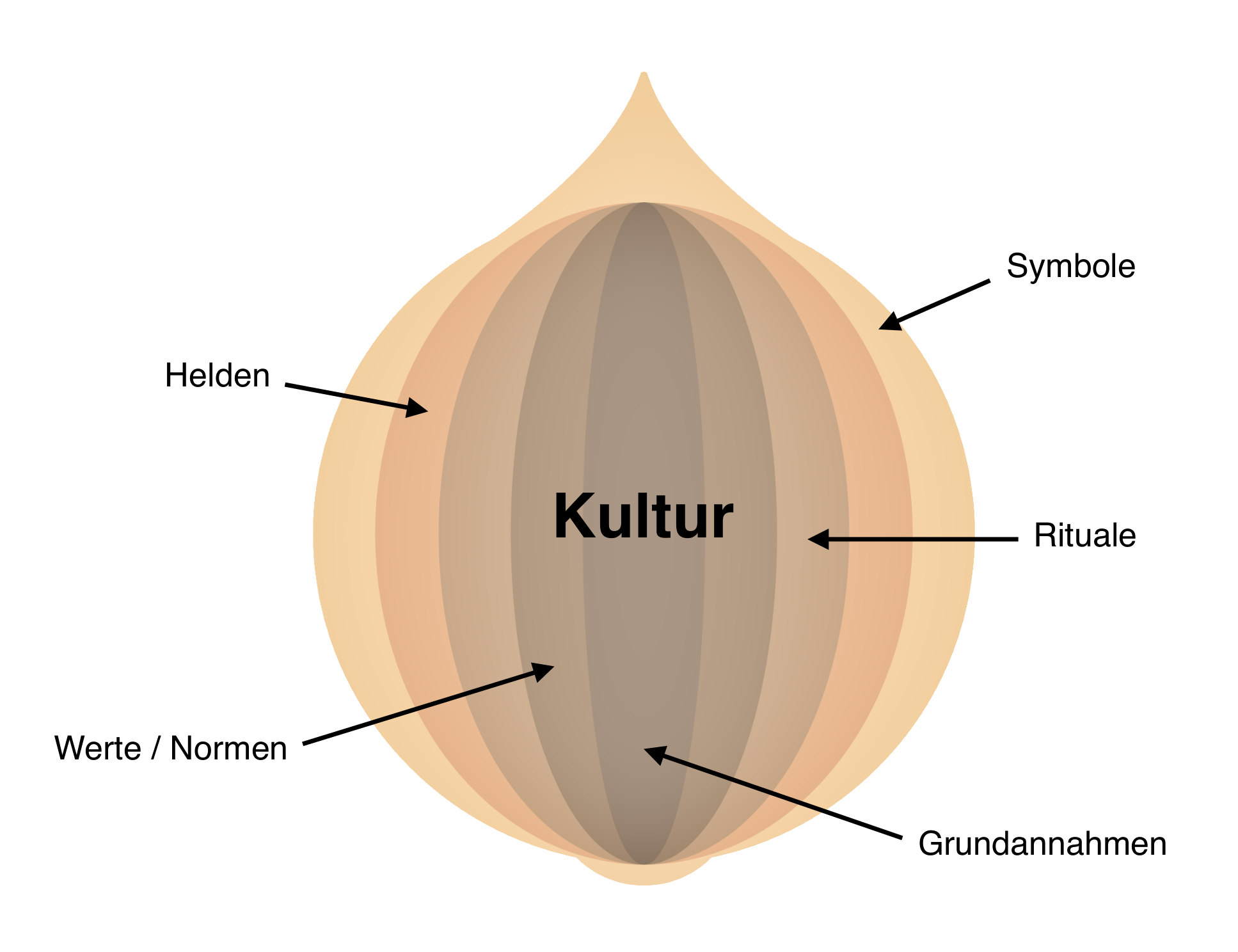 Onion Layers Metaphor